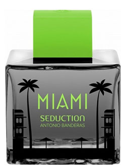 Miami Seduction In Black