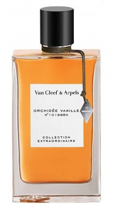 Collection Extraordinaire Orchidee Vanille