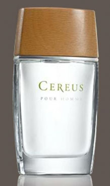 Cereus No.4 