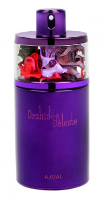 Orchidee Celeste 