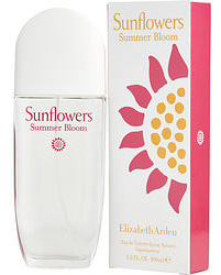 Sunflowers Summer Bloom