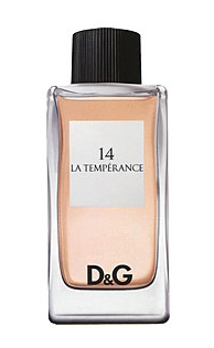 D&G Anthology La Temperance 14