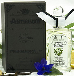 Anthology: Gardenia