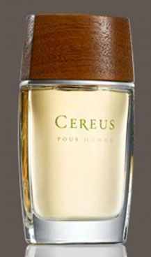 Cereus No.12